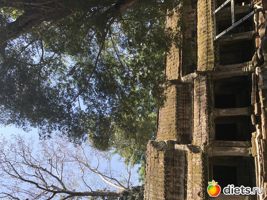 310 ����: ������ 2017. ��������