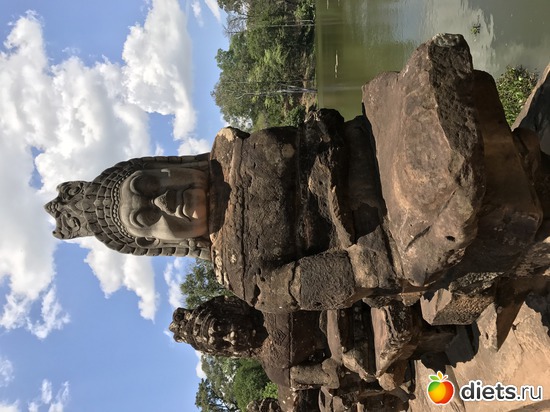 456 ����: ������ 2017. ��������