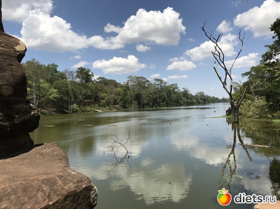 457 ����: ������ 2017. ��������