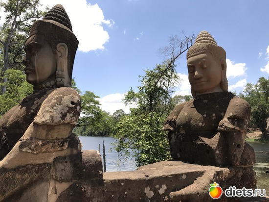 458 ����: ������ 2017. ��������