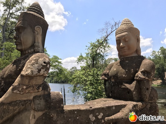 459 ����: ������ 2017. ��������