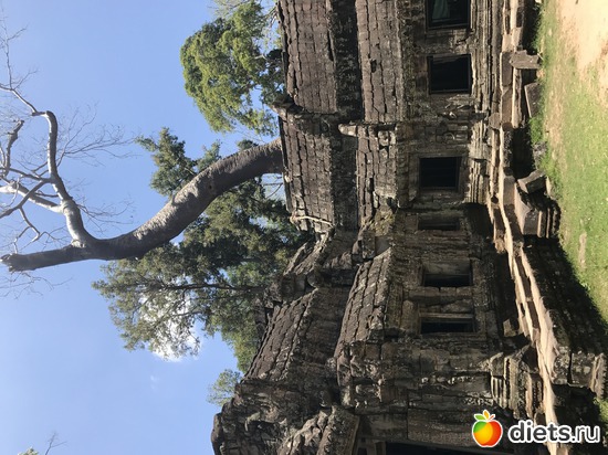 311 ����: ������ 2017. ��������