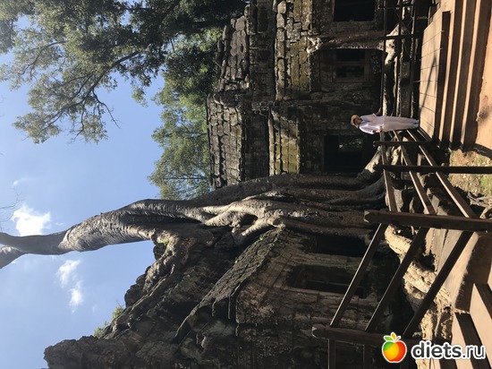 313 ����: ������ 2017. ��������