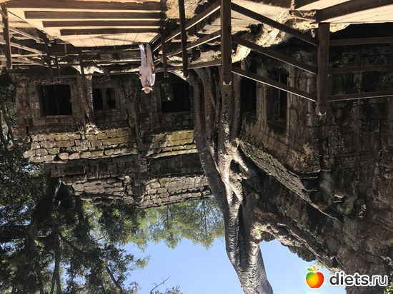 314 ����: ������ 2017. ��������