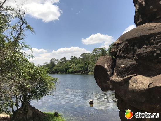 460 ����: ������ 2017. ��������