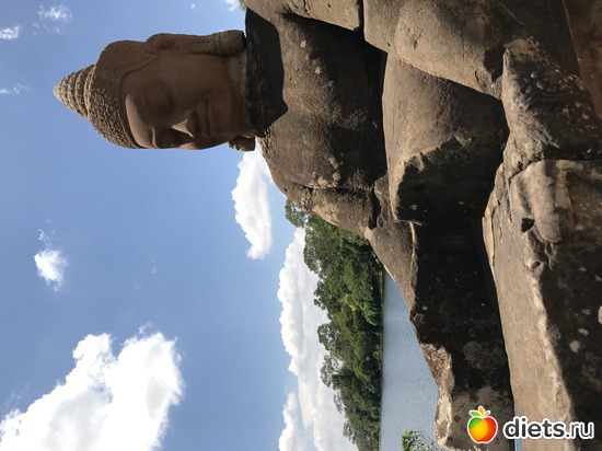 461 ����: ������ 2017. ��������