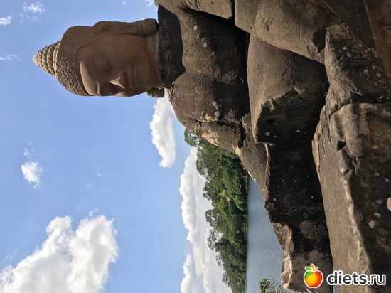 462 ����: ������ 2017. ��������