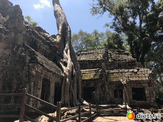 315 ����: ������ 2017. ��������