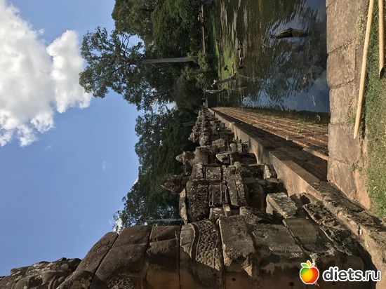 465 ����: ������ 2017. ��������