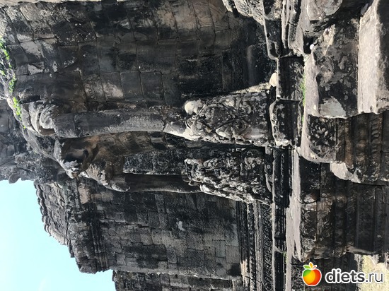 466 ����: ������ 2017. ��������