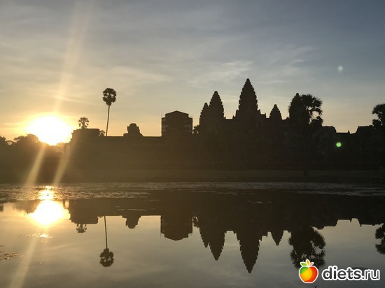 141 ����: ������ 2017. ��������