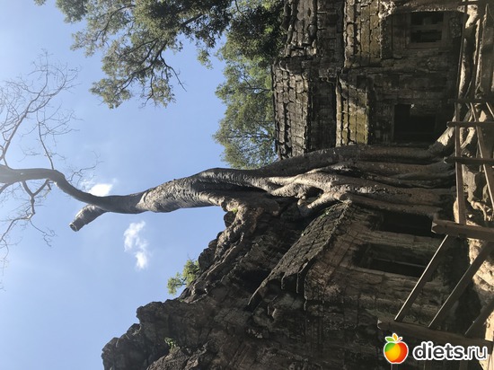 316 ����: ������ 2017. ��������