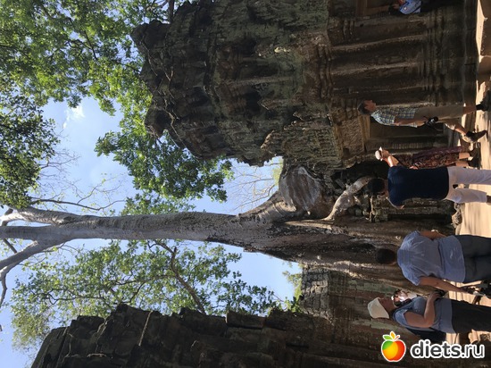 317 ����: ������ 2017. ��������