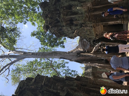 318 ����: ������ 2017. ��������