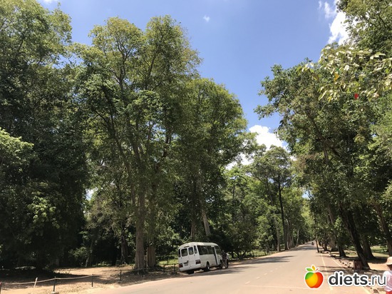 469 ����: ������ 2017. ��������