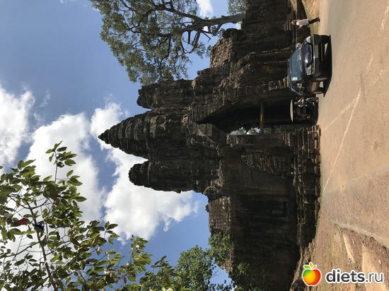 470 ����: ������ 2017. ��������