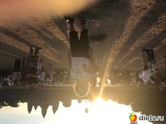 146 ����: ������ 2017. ��������