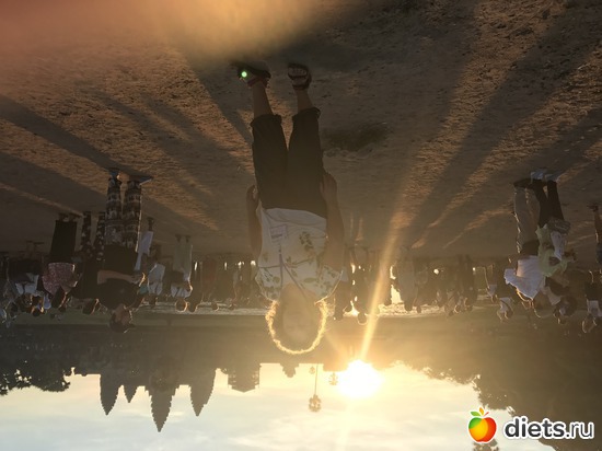 147 ����: ������ 2017. ��������