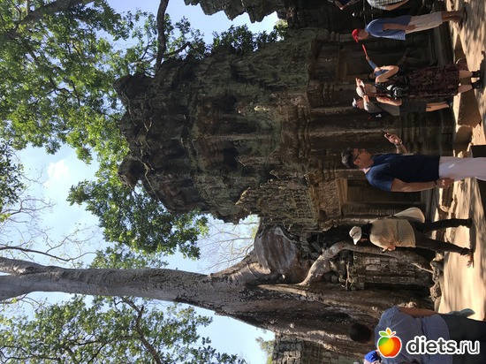 319 ����: ������ 2017. ��������