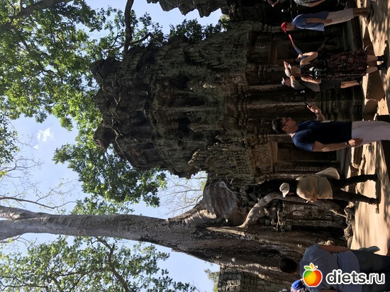 320 ����: ������ 2017. ��������