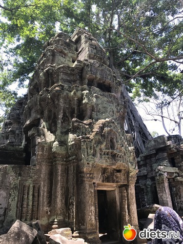 321 ����: ������ 2017. ��������