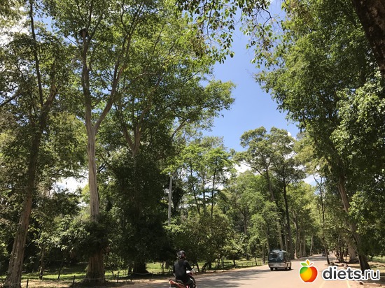 473 ����: ������ 2017. ��������