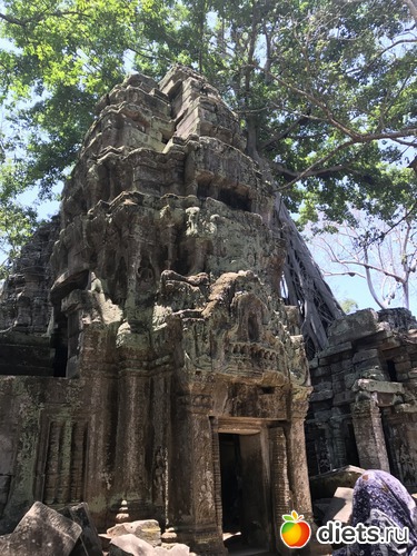 322 ����: ������ 2017. ��������