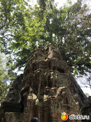 323 ����: ������ 2017. ��������