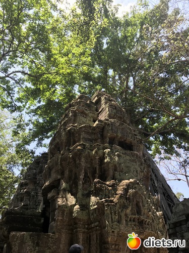 324 ����: ������ 2017. ��������