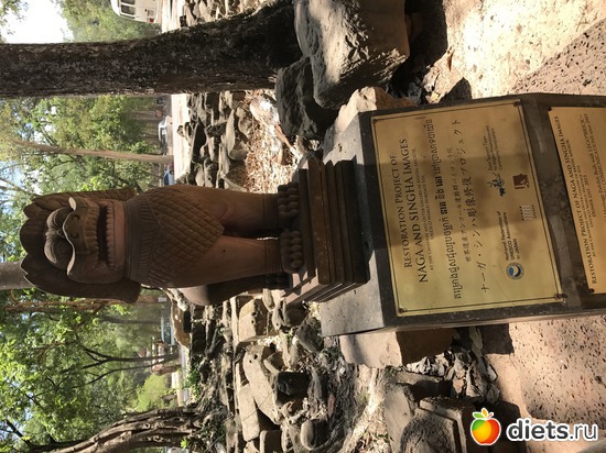 475 ����: ������ 2017. ��������