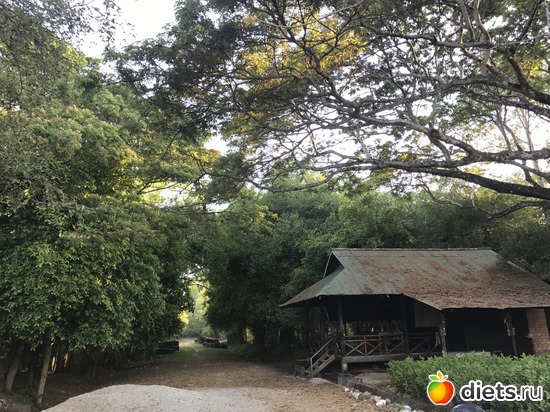 155 ����: ������ 2017. ��������