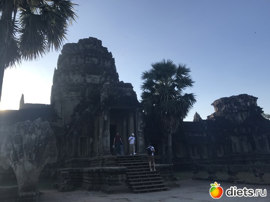 156 ����: ������ 2017. ��������