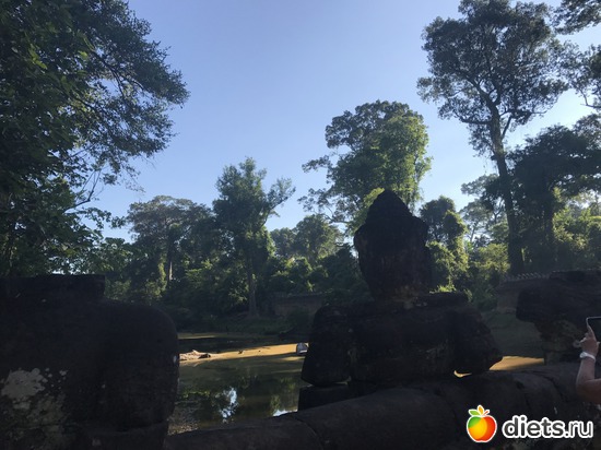 157 ����: ������ 2017. ��������