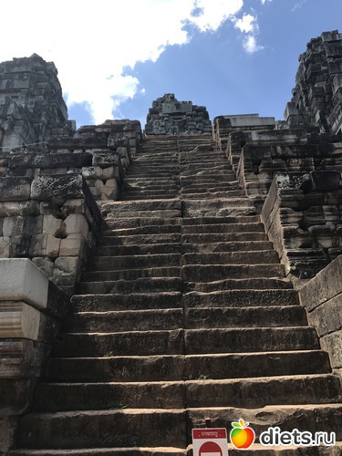 325 ����: ������ 2017. ��������