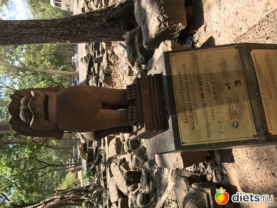 477 ����: ������ 2017. ��������