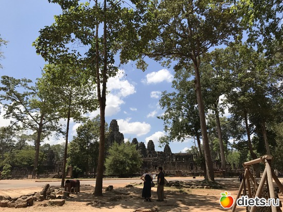 478 ����: ������ 2017. ��������