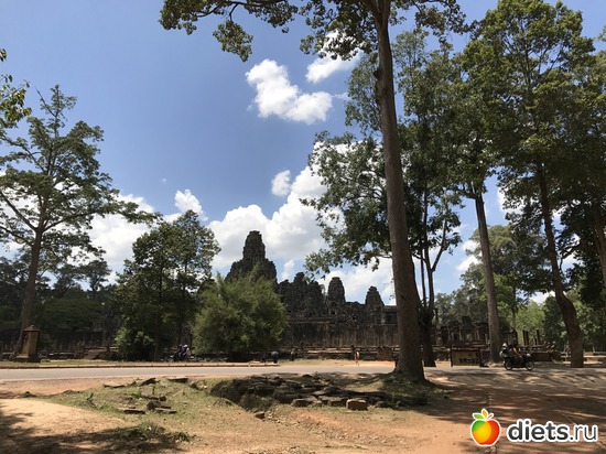 479 ����: ������ 2017. ��������