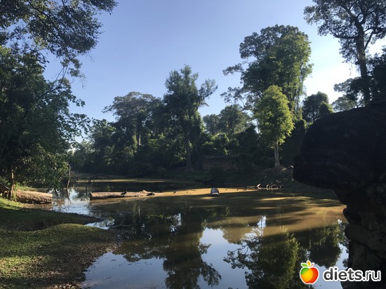 158 ����: ������ 2017. ��������