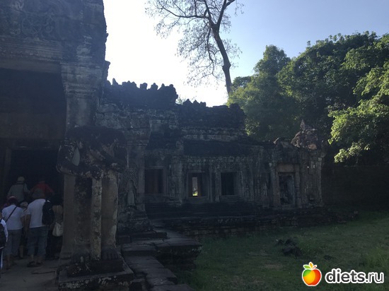 161 ����: ������ 2017. ��������