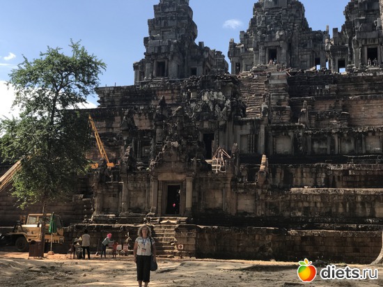 334 ����: ������ 2017. ��������