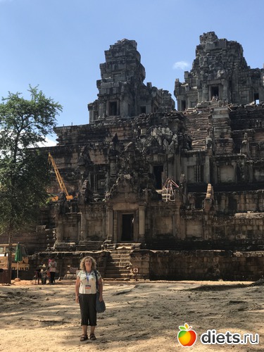 335 ����: ������ 2017. ��������