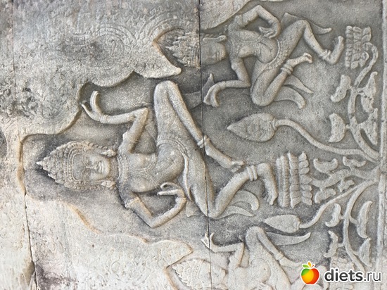 484 ����: ������ 2017. ��������