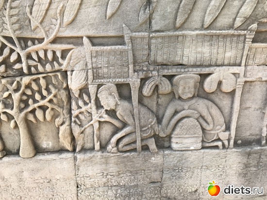 488 ����: ������ 2017. ��������