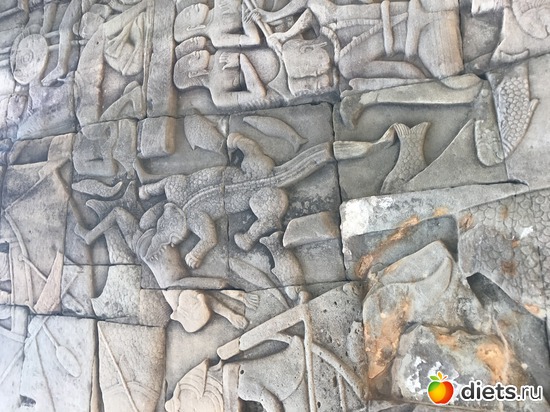 489 ����: ������ 2017. ��������