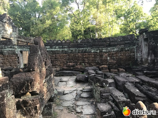 168 ����: ������ 2017. ��������