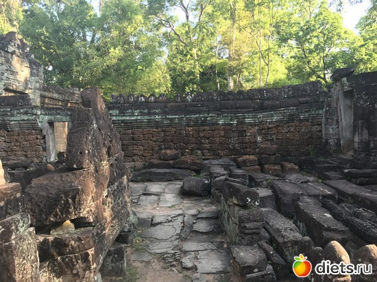 169 ����: ������ 2017. ��������