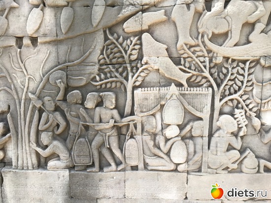 490 ����: ������ 2017. ��������