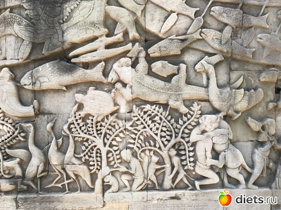 491 ����: ������ 2017. ��������