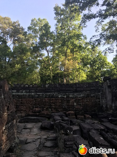 171 ����: ������ 2017. ��������