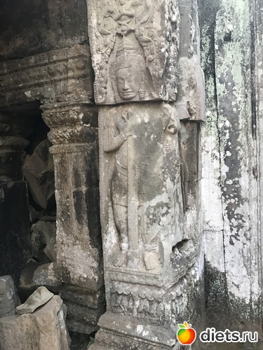 172 ����: ������ 2017. ��������